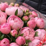 Маленькое фото 3: Букет из 50 ярко-розовых пионов в пленке