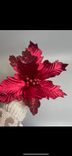 Фото флориста 1: Пуансеттия на вставке, D25см, бургунди