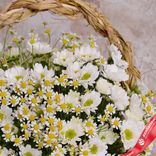 Маленькое фото 3: Акция! Букет из белых хризантем и ромашек в корзине