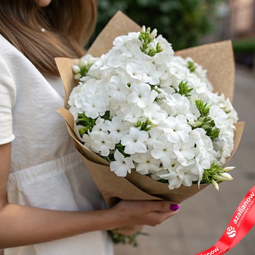 Букет из 15 белых флоксов в крафте