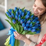 Маленькое фото 1: Букет из 51 голубого тюльпана с голубой лентой, Россия