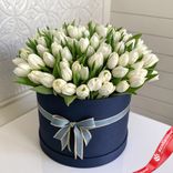 Маленькое фото 1: Букет из 45 белых тюльпанов в темно-синей коробке