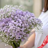 Маленькое фото 3: Букет из 5 сиреневых гипсофил с фиолетовой лентой