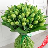 Маленькое фото 1: Букет из 45 зеленых тюльпанов, Россия