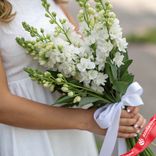 Маленькое фото 1: Букет из 7 белых дельфиниумов с белой лентой