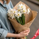 Маленькое фото 1: Букет из 9 белых нарциссов в крафте