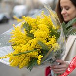 Маленькое фото 2: Букет 15 мимоз в пленке