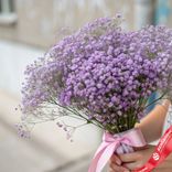 Маленькое фото 2: Букет из 5 пурпурных гипсофил с розовой лентой