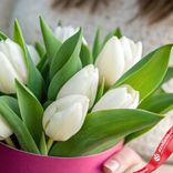 Маленькое фото 3: Букет из 9 белых тюльпанов с зеленью в малиновой коробке, Россия