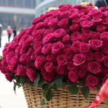 Маленькое фото 2: Букет в корзине из 1001 малиновой розы, 60 см, Эквадор