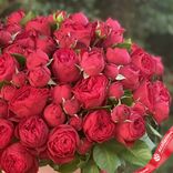 Маленькое фото 3: Букет из 35 кустовых пионовидных красных роз в шляпной коробке