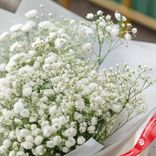 Маленькое фото 3: Букет из 5 белых гипсофил в белой пленке