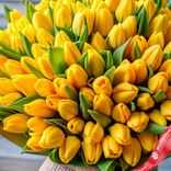 Маленькое фото 2: Букет из 500 желтых тюльпанов, Россия