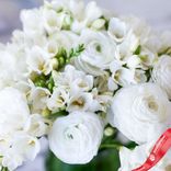 Маленькое фото 2: Ранункулюс и фрезия Уайт Микс (White Mix)