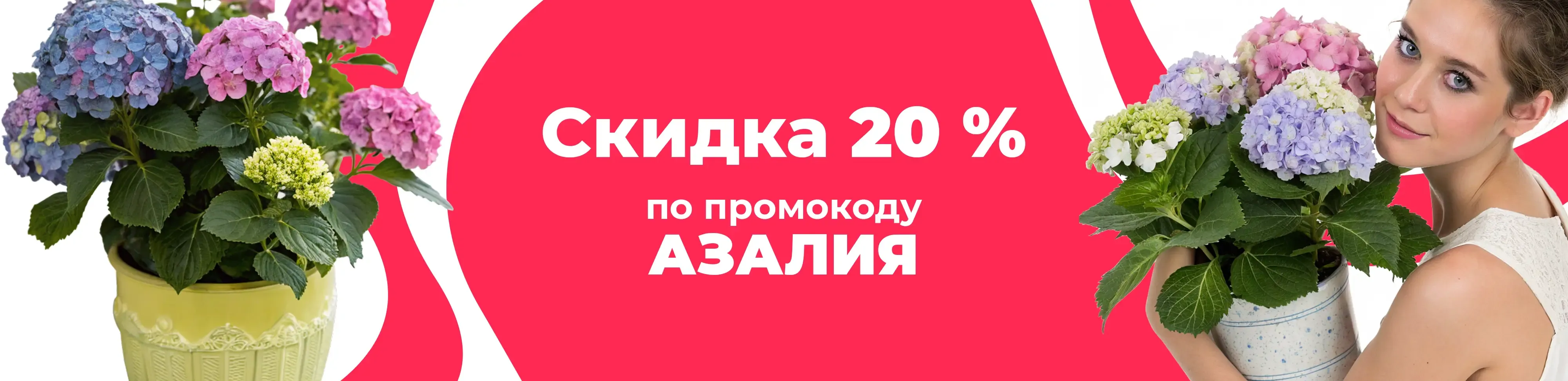 Баннер для рубрики: Кашпо для гортензии