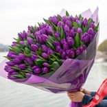 Маленькое фото 2: Букет из 400 фиолетовых тюльпанов в фиолетовой пленке