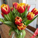 Маленькое фото 1: Букет из 10 красно-желтых тюльпанов, Россия