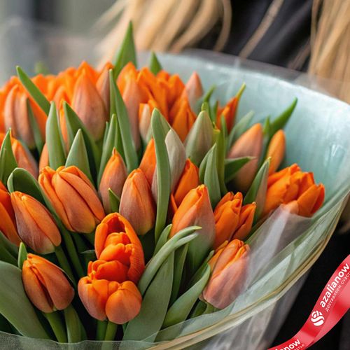 Фото 3: 40 оранжевых тюльпанов в прозрачной упаковке с лентой