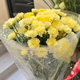 Маленькое фото 2: Букет из 25 желтых гвоздик в пленке с лентой, Голландия