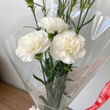 Маленькое фото 1: Букет из 3 белых гвоздик в пленке, Диантус, Голландия