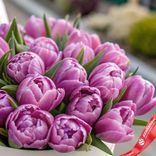 Маленькое фото 3: Букет из 21 фиолетового пионовидного тюльпана в белой коробке, Россия