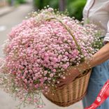 Маленькое фото 1: Букет из 51 розовой гипсофилы в корзине