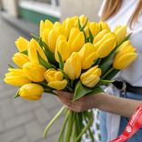 Маленькое фото 1: 25 желтых тюльпанов, Россия