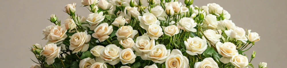 Купить букеты из 51 белой розы
