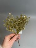 Фото флориста 1: Ветка Туи с глиттером, 27см, золотой