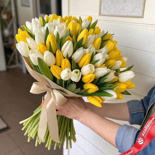 Букет из 26 желтых и 25 белых тюльпанов