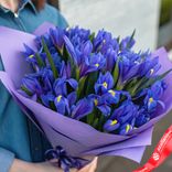 Маленькое фото 1: Букет из 35 синих ирисов в фиолетовой пленке