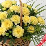 Маленькое фото 3: Букет из 45 желтых гвоздик с зеленью в корзине, Голландия