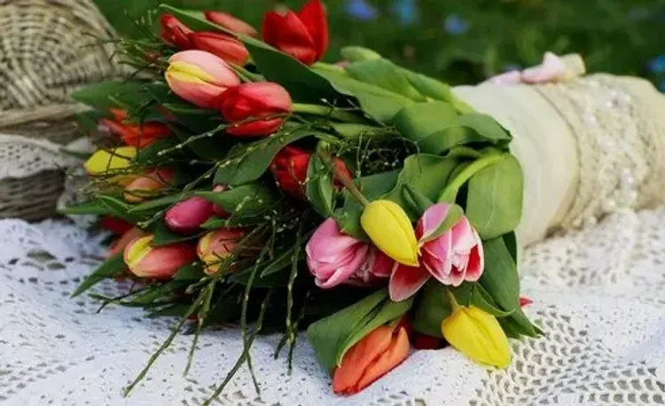 Тюльпаны микс купить