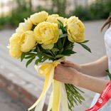 Маленькое фото 1: Букет из 7 желтых пионов с лентой, Голландия