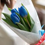 Маленькое фото 2: Букет из 3 голубых тюльпанов в белой пленке, Россия