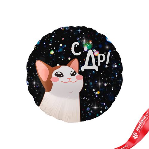 Шар с гелием «Круг - С ДР (котик)», 46 см