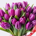 Маленькое фото 2: Букет из 31 фиолетового сортового тюльпана