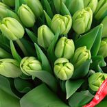 Маленькое фото 5: Букет из 45 зеленых тюльпанов, Россия