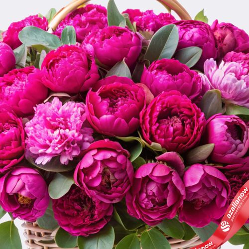 Фото 2: Корзина 101 малиновый пион с эвкалиптом