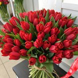 Маленькое фото 1: Букет из 55 красных тюльпанов, Россия