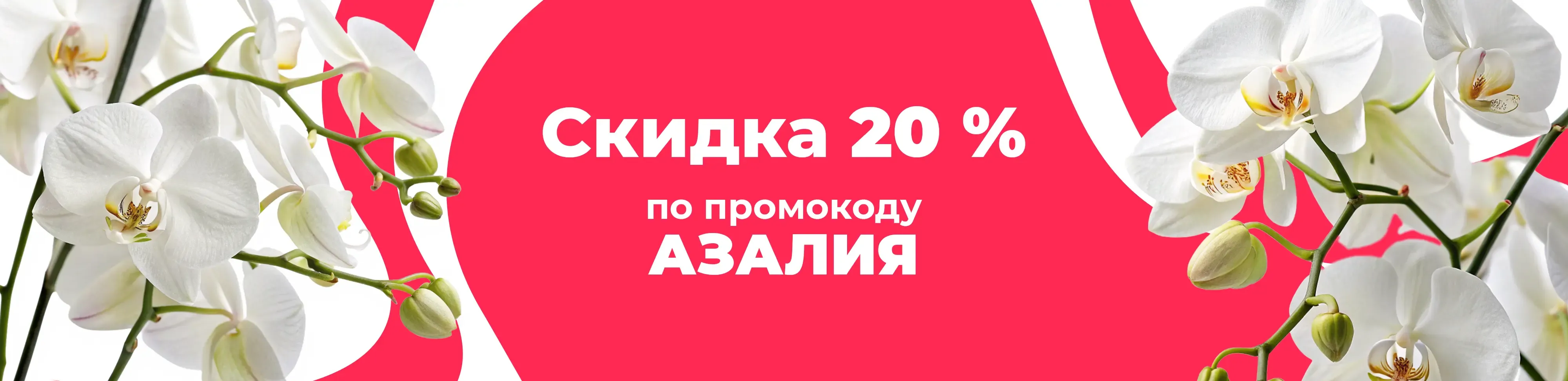 Баннер для рубрики: Белые орхидеи
