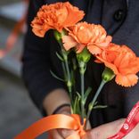 Маленькое фото 2: Букет из 3 оранжевых гвоздик с лентой сорта Диантус, Голландия