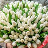 Маленькое фото 2: Букет из 400 белых тюльпанов, Россия