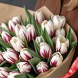 Маленькое фото 3: Букет из 40 белых тюльпанов с бордовыми краями в крафте
