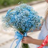 Маленькое фото 1: Букет из 9 голубых гипсофил с голубой лентой