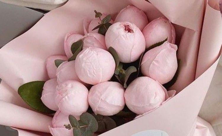 Маленькие розовые пионы Маленькие розовые пионы