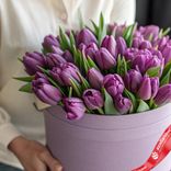 Маленькое фото 2: Букет из 33 фиолетовых тюльпанов в сиреневой коробке, Россия