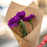 Маленькое фото 3: Букет из 3 фиолетовых гвоздик сорта Диантус в крафте, Голландия