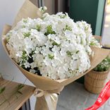 Маленькое фото 1: Букет 51 белого флокса в крафте