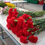 Маленькое фото 2: Букет из 20 красных гвоздик